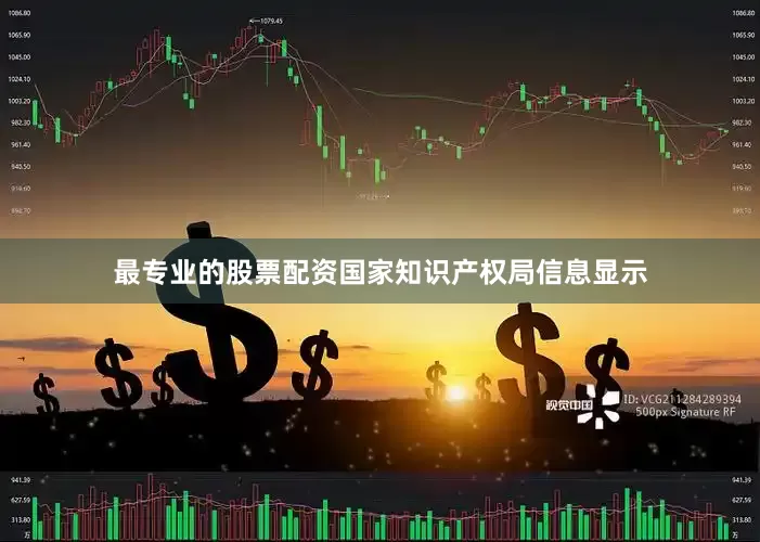最专业的股票配资国家知识产权局信息显示