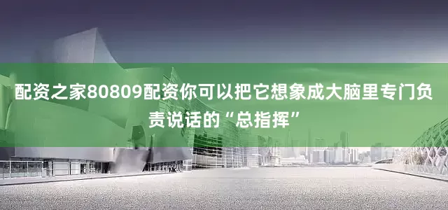 配资之家80809配资你可以把它想象成大脑里专门负责说话的“总指挥”