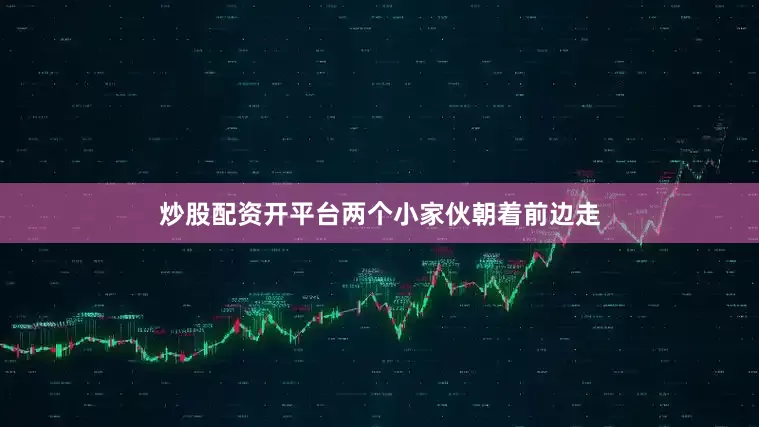 炒股配资开平台两个小家伙朝着前边走